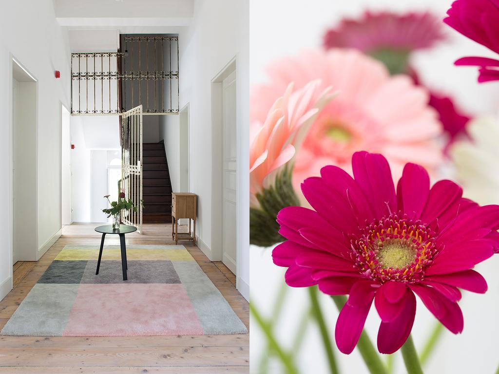 B&B Pastorie Balegem Ngoại thất bức ảnh
